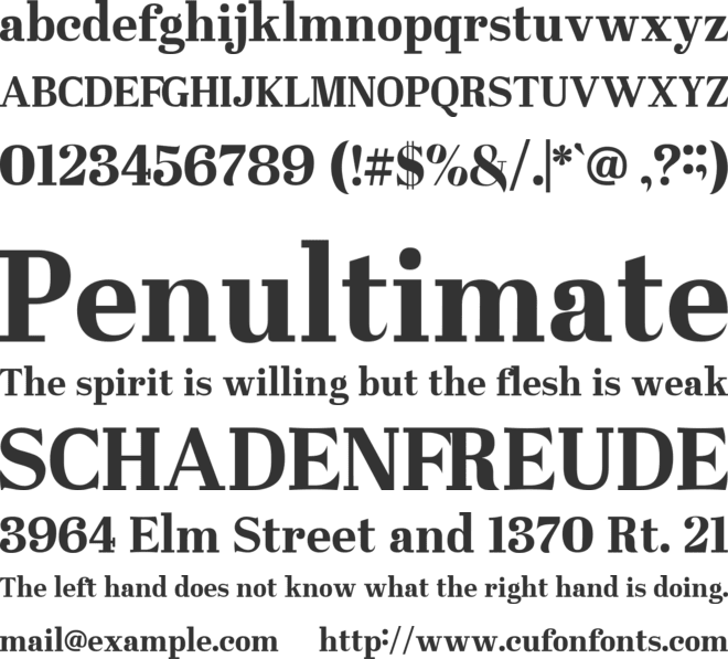 Westerniya Serif font preview