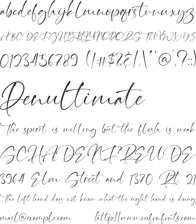 Thinker Script font preview