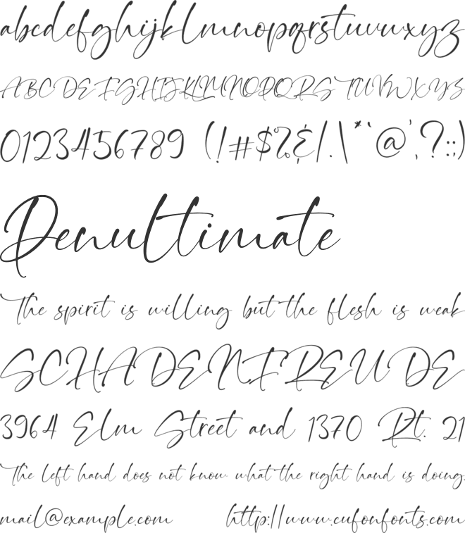 Thinker Script font preview