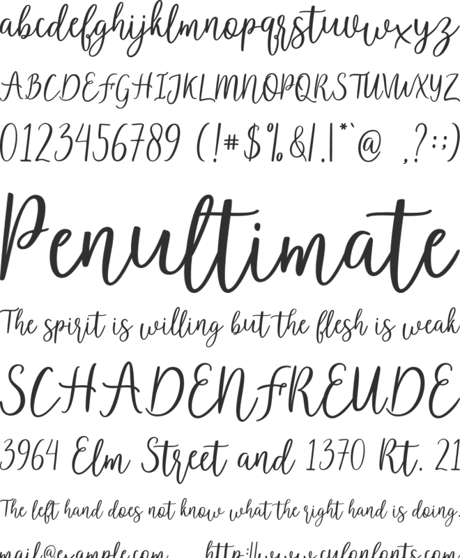 Wacthout font preview