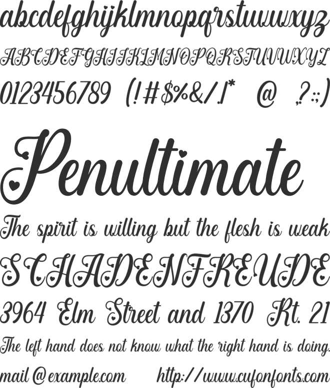 Angelia Beauty font preview