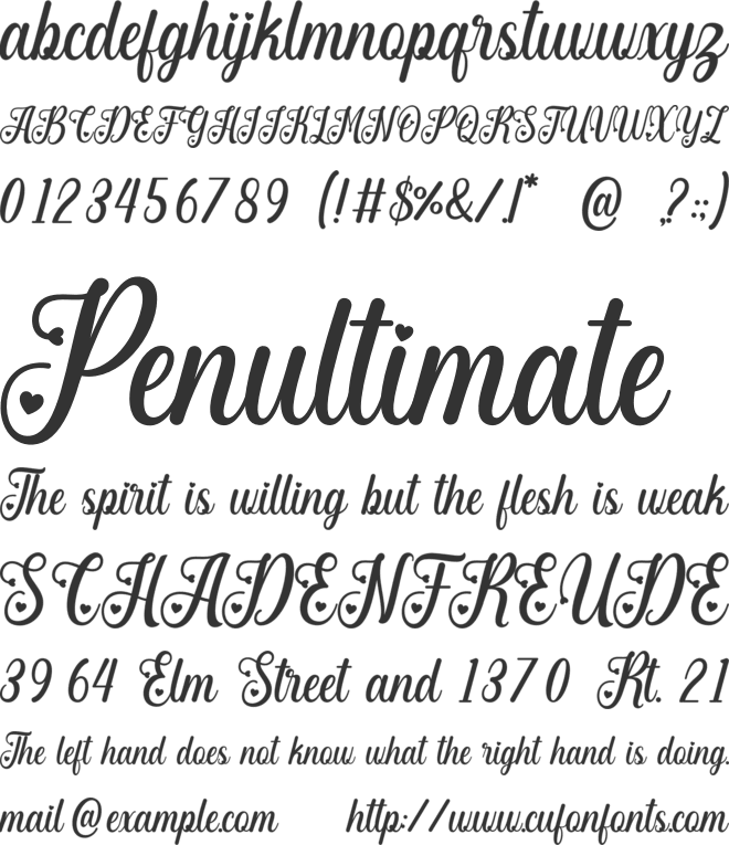 Angelia Beauty font preview