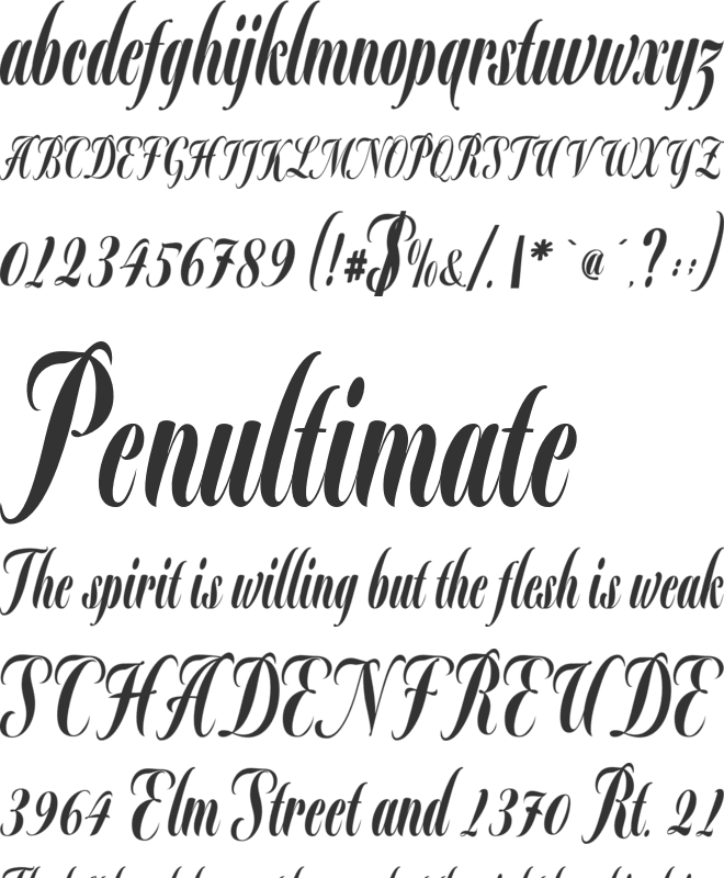 Ayah font preview