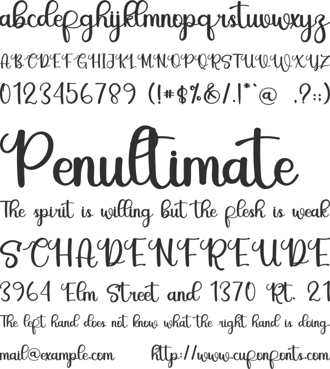 Premium Signature font preview