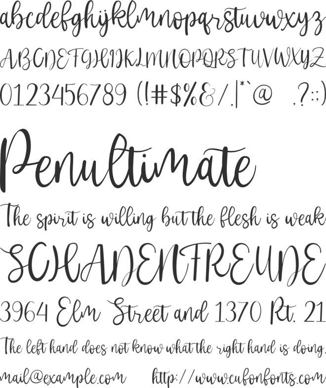 Society System font preview