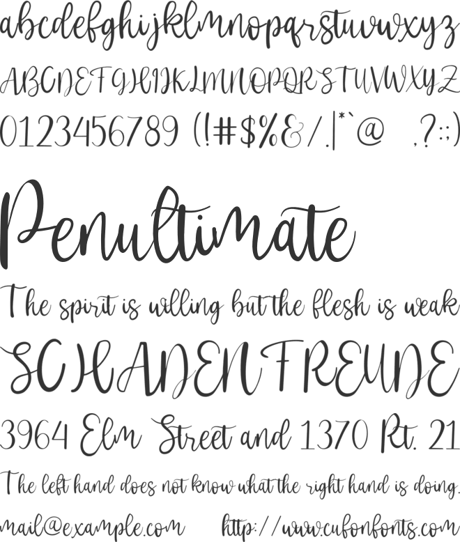 Society System font preview