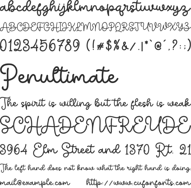 Medellin Script font preview