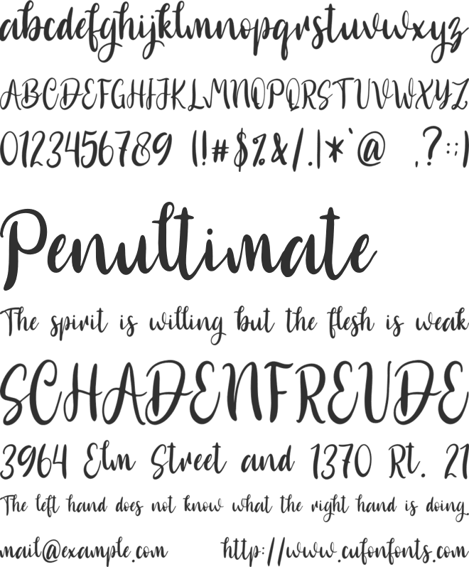 Biglove - Personal Use font preview