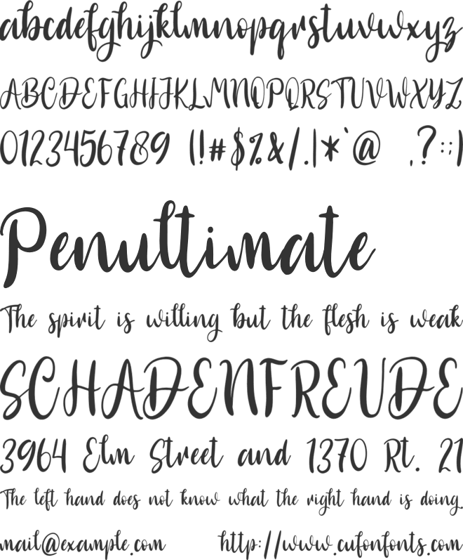 Biglove - Personal Use font preview