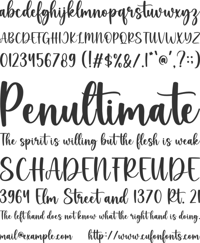 Little Penguin font preview