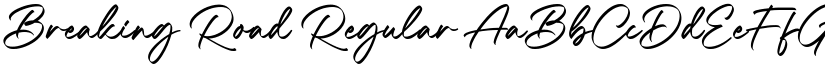 Breaking Road Regular font