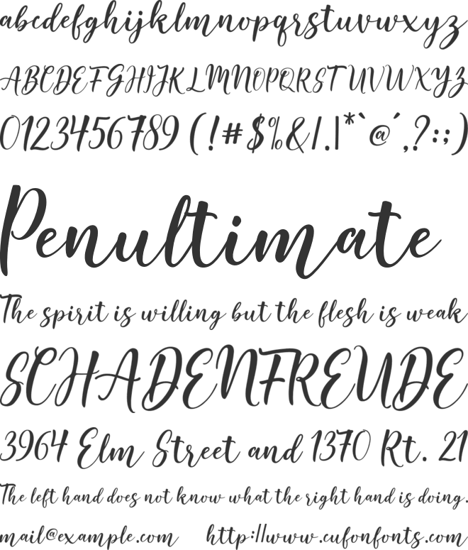 Good Selection Script font preview