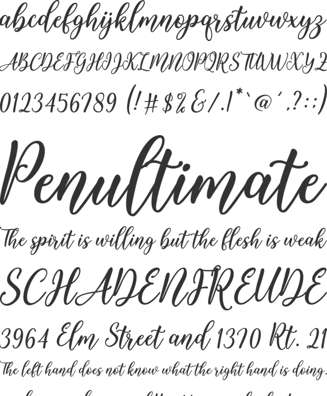 Hello Cartel Story font preview