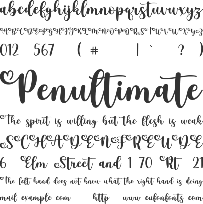 Bastrid Script font preview