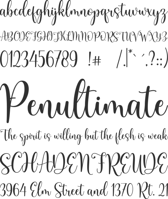 Ronsley font preview