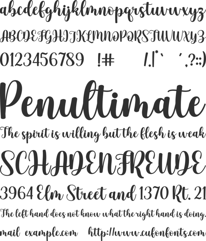 Fairlady font preview
