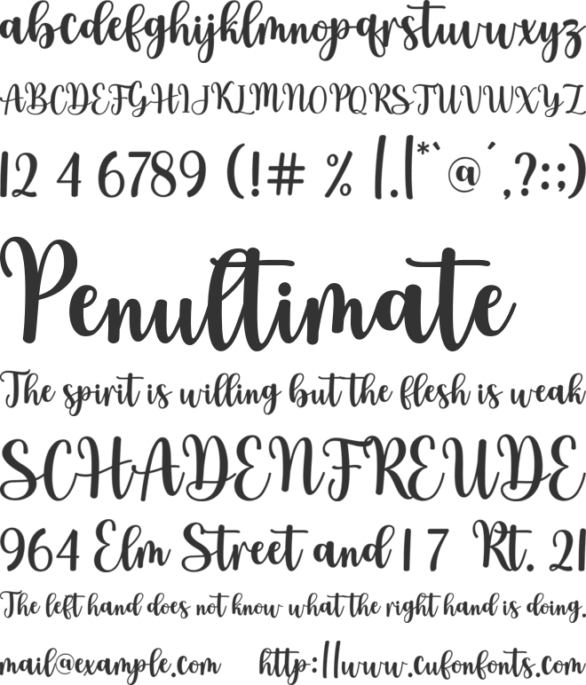 Angel Paradise font preview