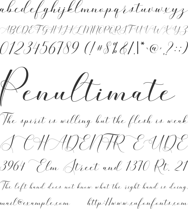 Belgiana Script font preview