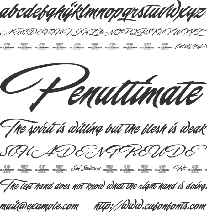 Scandinavia Brush PERSONAL font preview