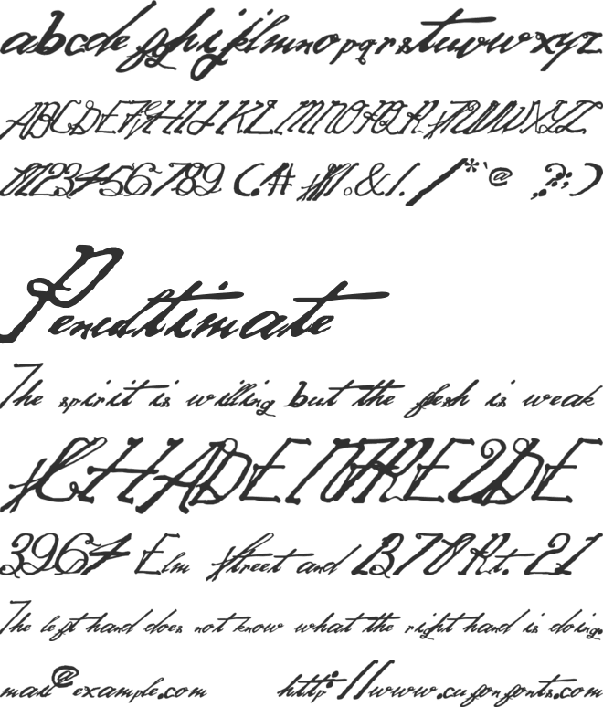 Samuel Goldwyn Font font preview
