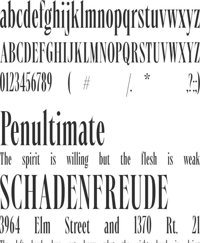 Angusta font preview