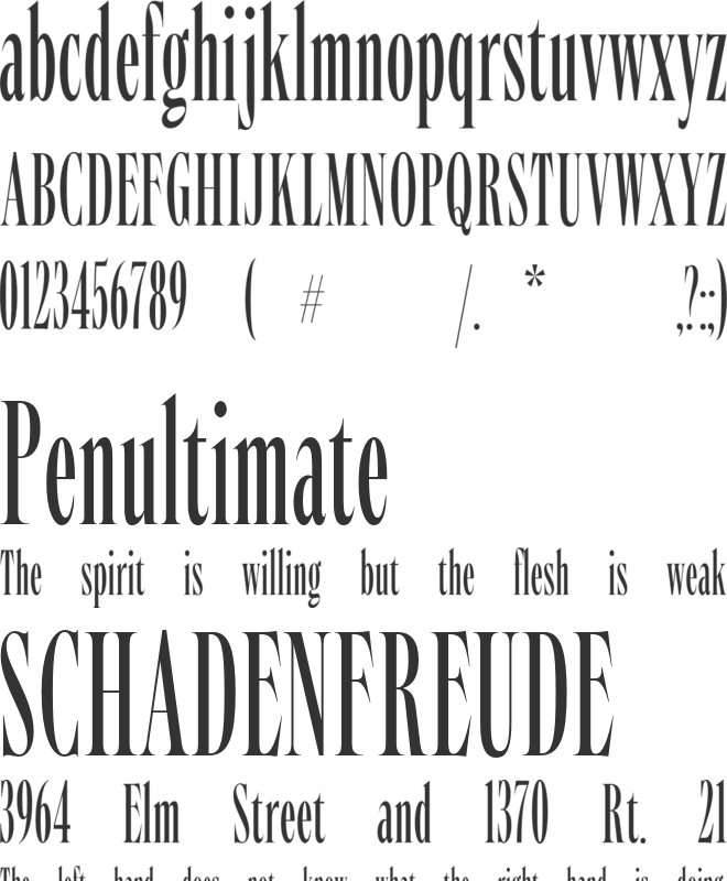 Angusta font preview