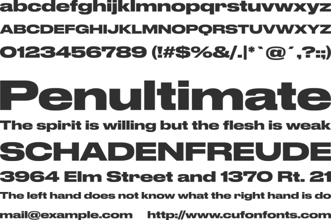 Druk Wide Bold font preview