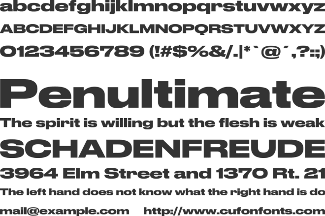 Druk Wide Bold font preview