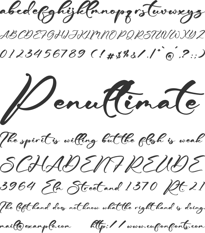 Brillytan Flemingo font preview