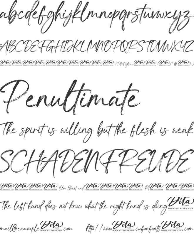 Fightever font preview