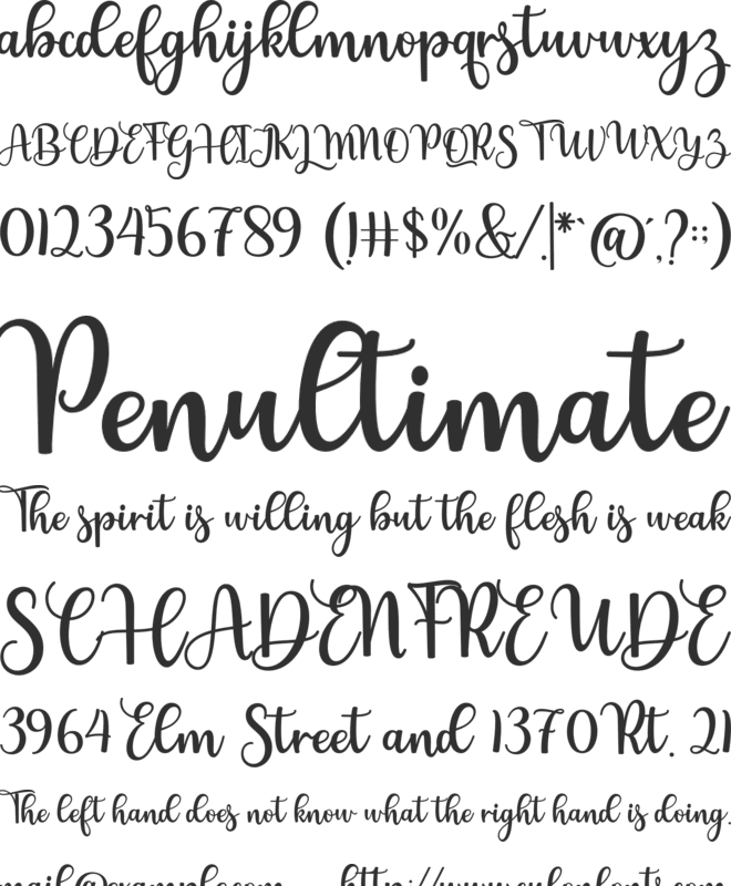 Shawty font preview