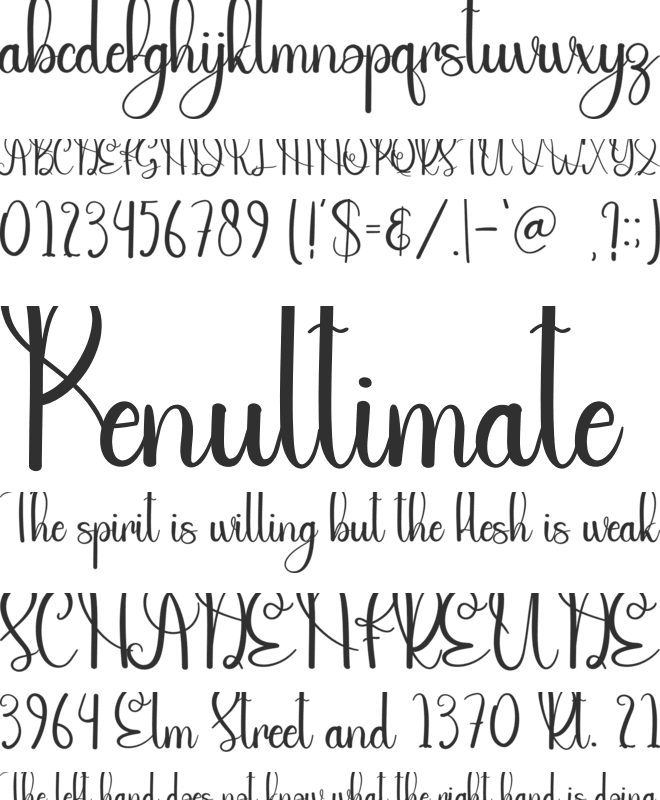 Paperbook font preview
