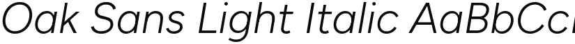 Oak Sans Light Italic (Variable) font