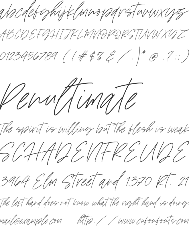 Wildfire Dreams font preview
