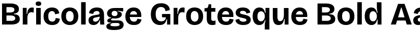 Bricolage Grotesque Bold font