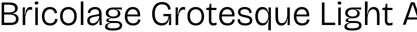 Bricolage Grotesque Light font