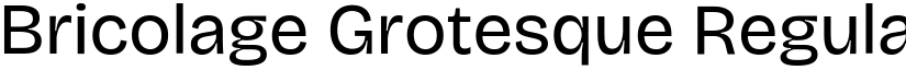 Bricolage Grotesque Regular font