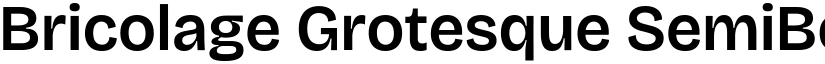Bricolage Grotesque SemiBold font