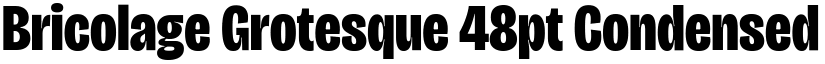 Bricolage Grotesque 48pt Condensed ExtraBold (Variable) font