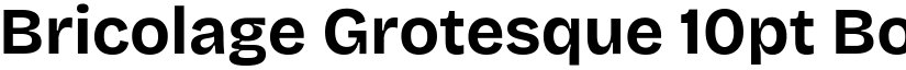 Bricolage Grotesque 10pt Bold font