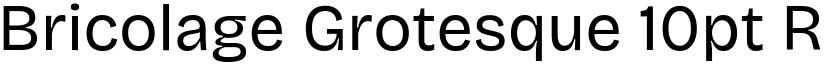 Bricolage Grotesque 10pt Regular font