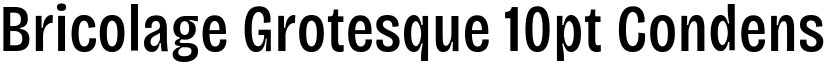 Bricolage Grotesque 10pt Condensed Medium font
