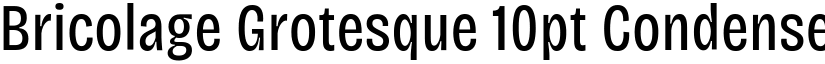 Bricolage Grotesque 10pt Condensed Regular font