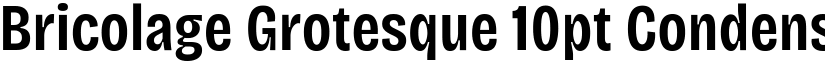 Bricolage Grotesque 10pt Condensed SemiBold font