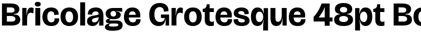 Bricolage Grotesque 48pt Bold font