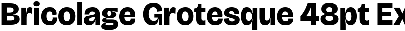 Bricolage Grotesque 48pt ExtraBold font