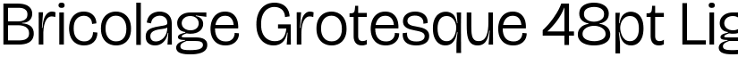Bricolage Grotesque 48pt Light font