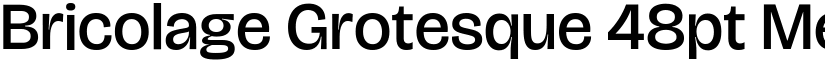 Bricolage Grotesque 48pt Medium font