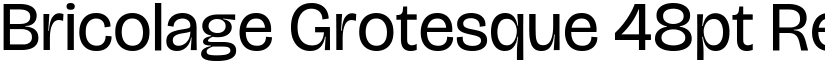 Bricolage Grotesque 48pt Regular font