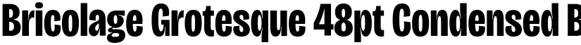 Bricolage Grotesque 48pt Condensed Bold font